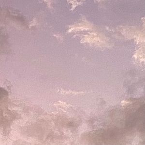 Meet your Posher, Maya